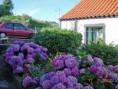 /album/ilha-das-flores-20021/dsc01849-edited-jpg1/