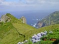 /album/ilha-das-flores-20021/dsc01852-edited-jpg1/