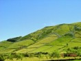 /album/ilha-das-flores-ano-de-2002/dsc01843-edited-jpg2/