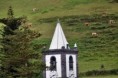 /album/ilha-das-flores-ano-de-2007/img-3586-jpg/