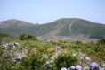 /album/ilha-das-flores-ano-de-2007/img-3889-jpg/