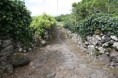 /album/ilha-das-flores-ano-de-2007/img-4206-jpg/