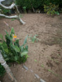 /album/diversos/img-20190318-101025-jpg/
