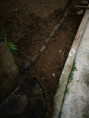 /album/diversos/img-20190318-101128-jpg/