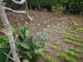 /album/diversos/img-20190405-105217-jpg/