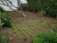 /album/diversos/img-20190405-105238-jpg/