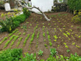 /album/diversos/img-20190405-105253-jpg/