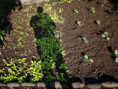 /album/diversos/img-20190418-093447-jpg/