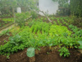 /album/diversos/img-20190429-101359-jpg/