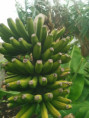 /album/diversos/img-20190429-101856-jpg/