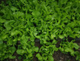 /album/diversos/img-20190501-155644-jpg/