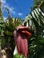 /album/diversos/img-20190501-160330-jpg/