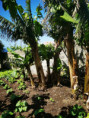 /album/diversos/img-20190505-115921-jpg/