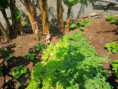 /album/diversos/img-20190505-120022-jpg/