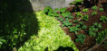 /album/diversos/img-20190505-120227-jpg/