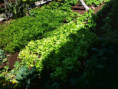 /album/diversos/img-20190505-120438-jpg/