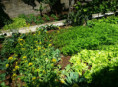 /album/diversos/img-20190505-120526-jpg/