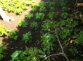 /album/diversos/img-20190505-120634-jpg/