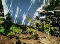 /album/diversos/img-20190505-120724-jpg/