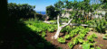 /album/diversos/img-20190505-120756-jpg/