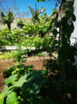 /album/diversos/img-20190505-120937-jpg/