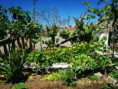 /album/diversos/img-20190505-120950-jpg/