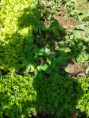 /album/diversos/img-20190509-121501-jpg/