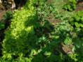 /album/diversos/img-20190509-121520-jpg/