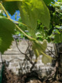/album/diversos/img-20190509-121837-jpg/