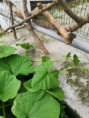 /album/diversos/img-20190513-193813-jpg/
