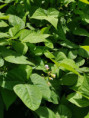 /album/diversos/img-20190516-104945-jpg/