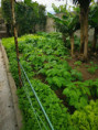 /album/diversos/img-20190518-130434-jpg/
