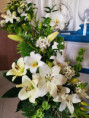 /album/diversos/img-20190519-190257-jpg/