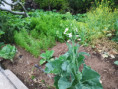 /album/diversos/img-20190524-204413-1-jpg/