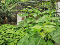 /album/diversos/img-20190601-114907-jpg/