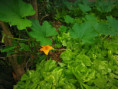 /album/diversos/img-20190601-115043-jpg/