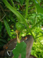 /album/diversos/img-20190613-101806-jpg/