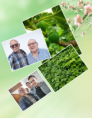/album/diversos/img-20190620-143754-1-png/