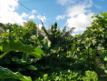 /album/diversos/img-20190623-181420-jpg/