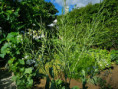 /album/diversos/img-20190623-181432-jpg/