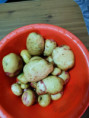 /album/diversos/img-20190626-103709-jpg/