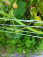 /album/diversos/img-20190709-093926-jpg/