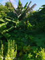/album/diversos/img-20190709-094114-jpg/