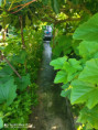 /album/diversos/img-20190709-094126-jpg/